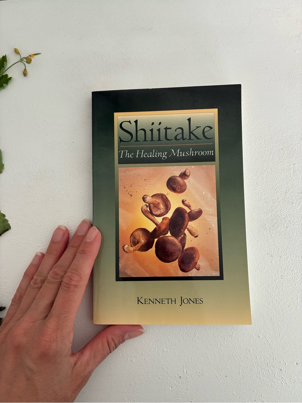 Shiitake The Healing Mushroom - By Kenneth Jones